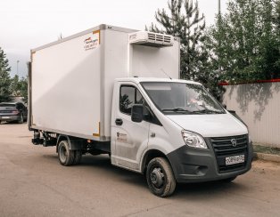 Пневмоподушки Арайд на Газель NEXT 